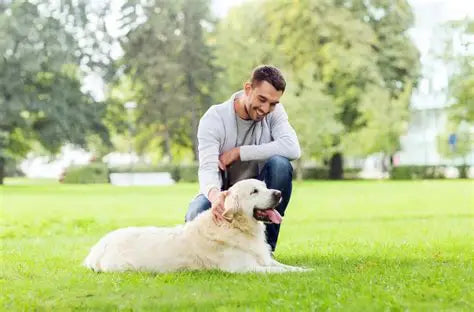 Dog image