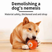 PawJoy Smart Ball™