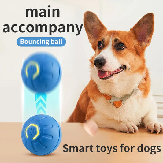 PawJoy Smart Ball™