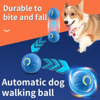 PawJoy Smart Ball™