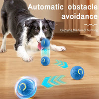 PawJoy Smart Ball™