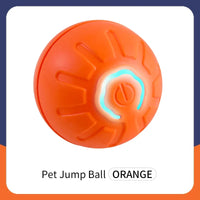PawJoy Smart Ball™